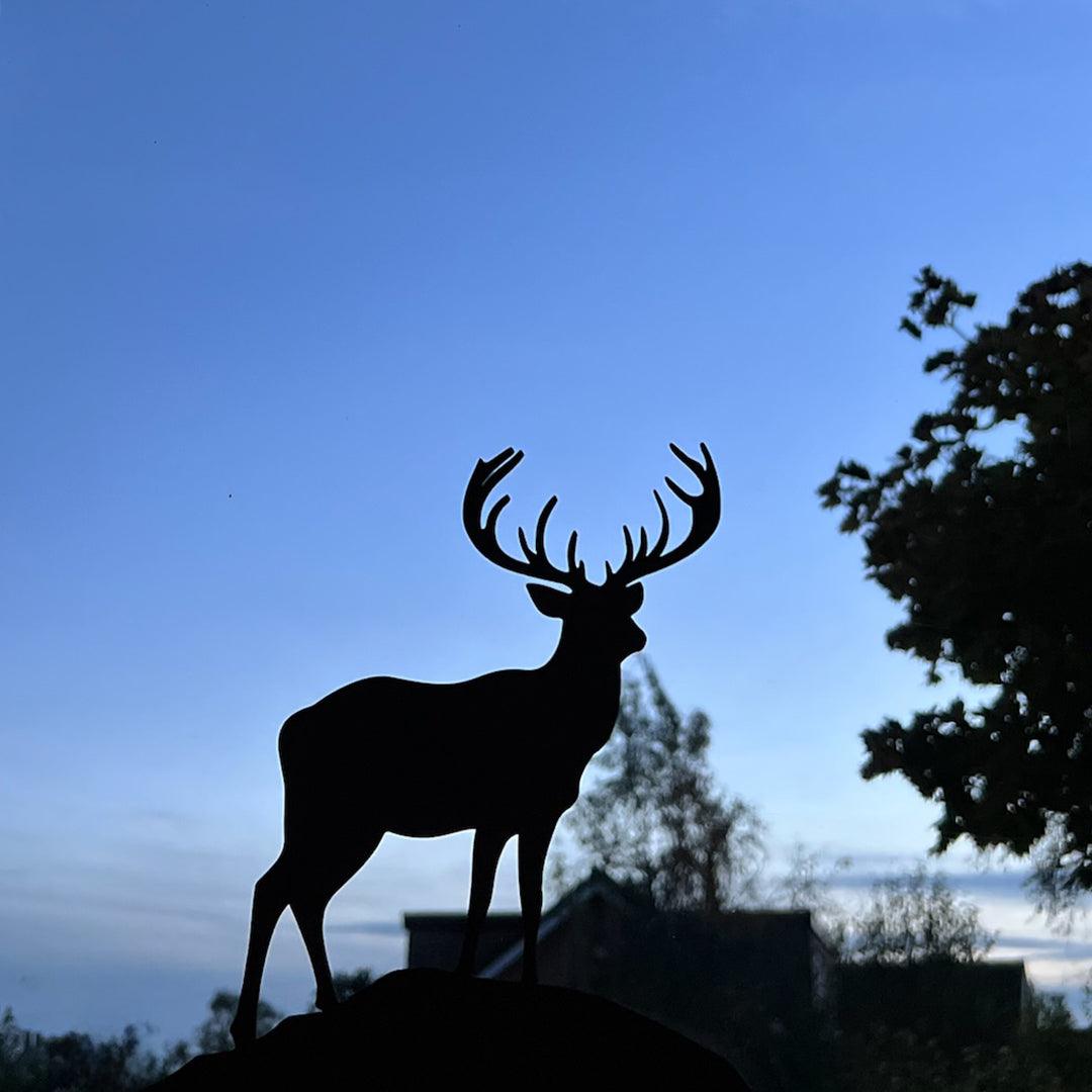 Reindeer - 3D - Grizzly Bear
